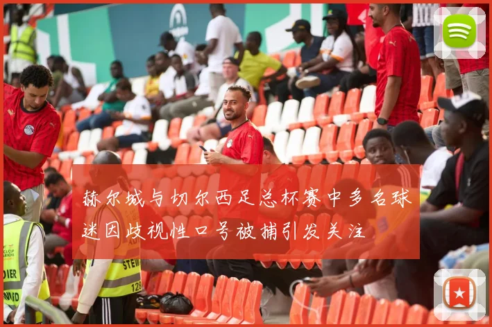 赫尔城与切尔西足总杯赛中多名球迷因歧视性口号被捕引发关注